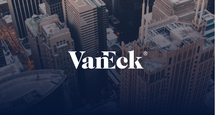 VanEck Treasury Fund