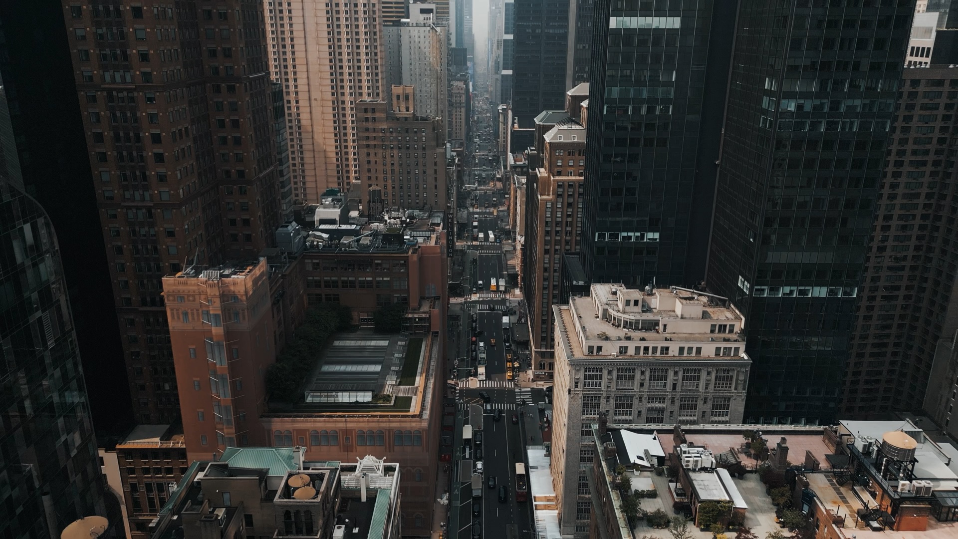 Hero Video First Frame