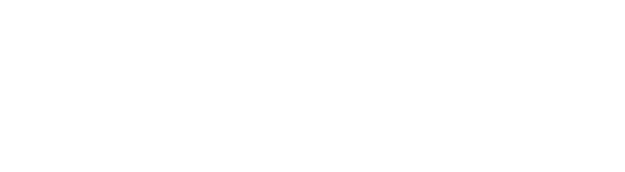 FG Nexus Inc.